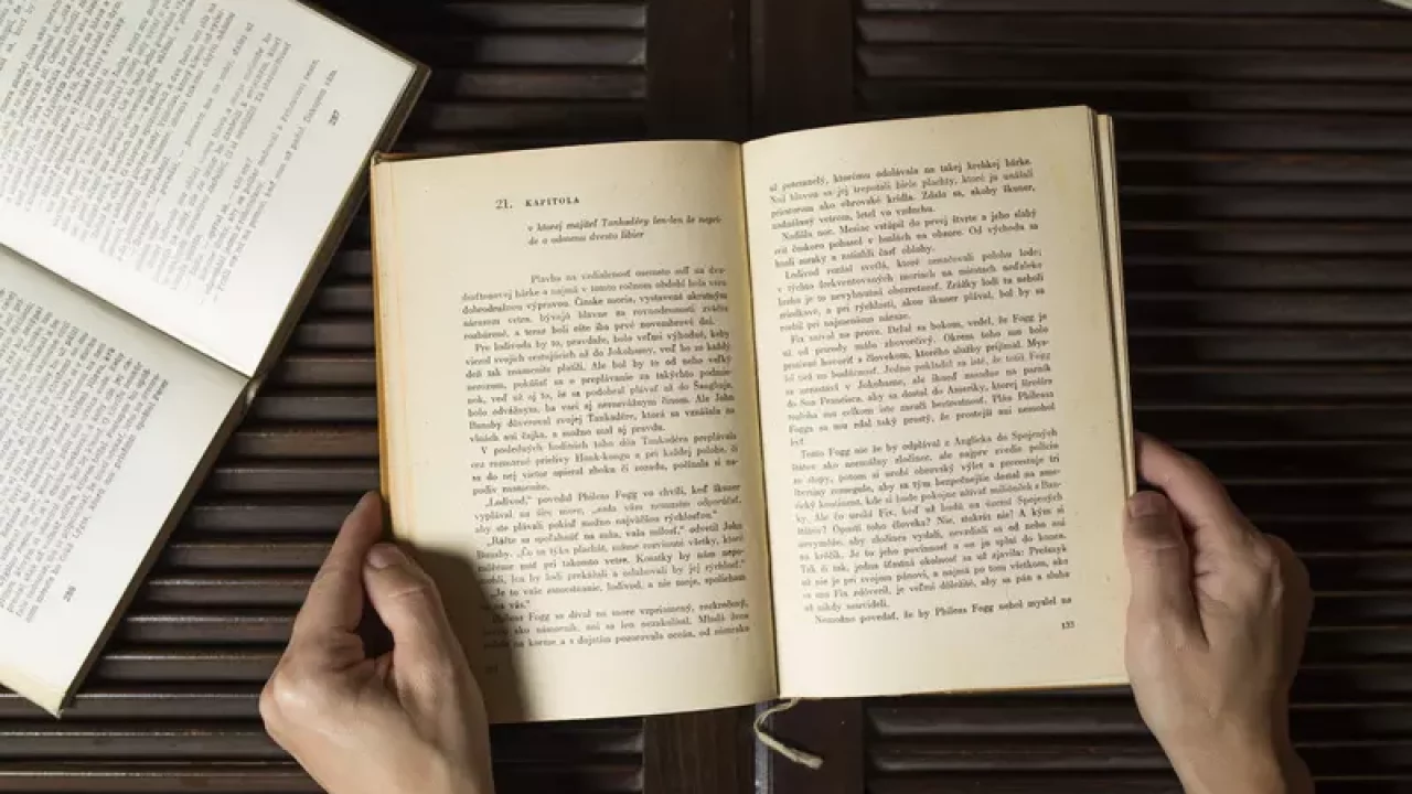 Novel