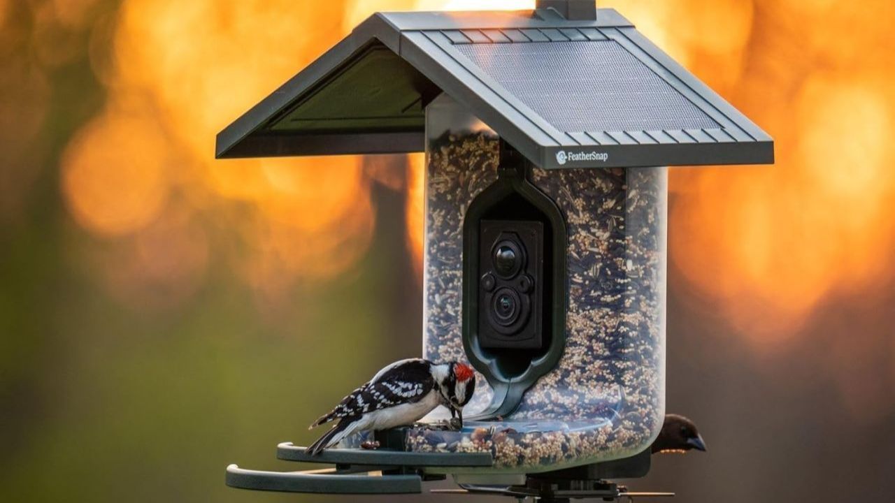 Smart Bird Feeder