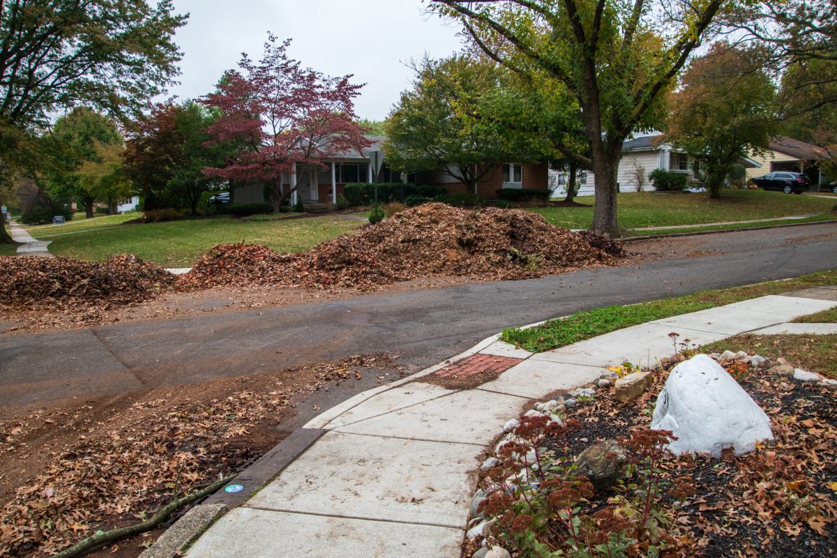 Triad City Beat WinstonSalem hopes to solve leaf problem with