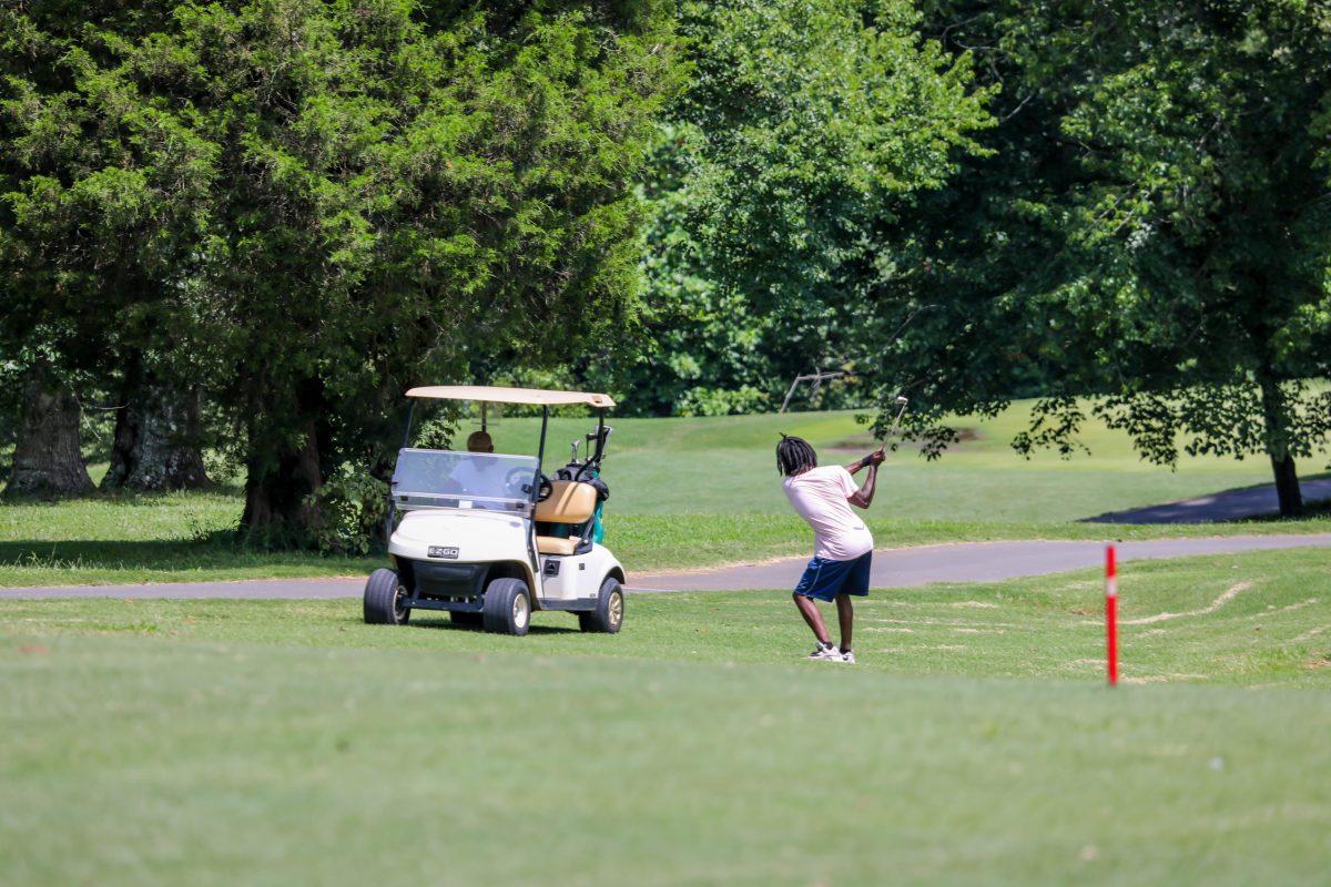 Triad City Beat | Winston-Salem spends over 0,000 on tree removal at historic Winston Lake Golf Course